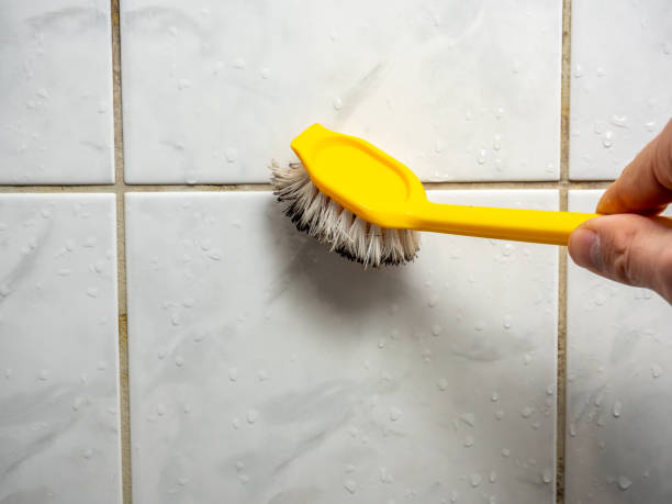 Best White Mold Remediation in Capitol Heights, MD