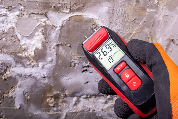 Best Mold Remediation for Schools in Capitol Heights, MD