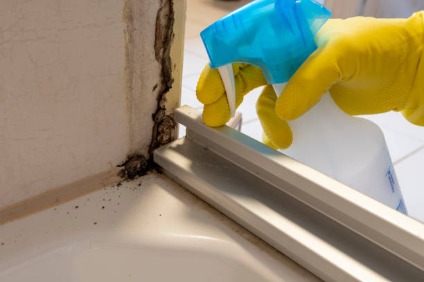 Best Mold Testing and Inspection Services in Capitol Heights, MD