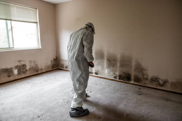 Best Mold Remediation for Specific Building Types in Capitol Heights, MD